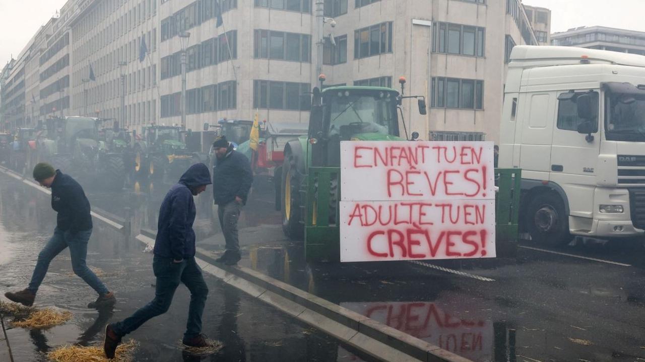 Seorang Koordinator Umum organisasi pertanian La Via Campesina, Morgan Ody, yang mewakili sebagian besar petani mengatakan bahwa, "Ini soal pendapatan." “Ini tentang fakta bahwa kami miskin, dan kami ingin mendapatkan penghidupan yang layak,” <br>