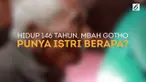 Disebut-sebut manusia tertua di dunia, Mbah Gotho dari Sragen, memiliki 5 anak dan 17 cucu. Selama hidup 146 tahun, berapa kali Mbah Gotho menikah?