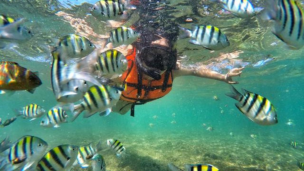 25 Tempat Wisata Gunungkidul yang Lagi Hits 2025, Bikin Liburan Akhir Tahun Berkesan