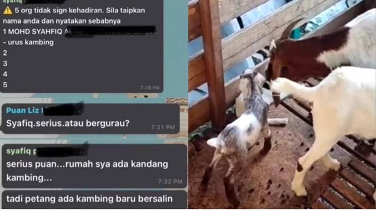 Pelajar Ini Tak Hadir Kelas Online, Alasannya Urus Kambing yang Melahirkan