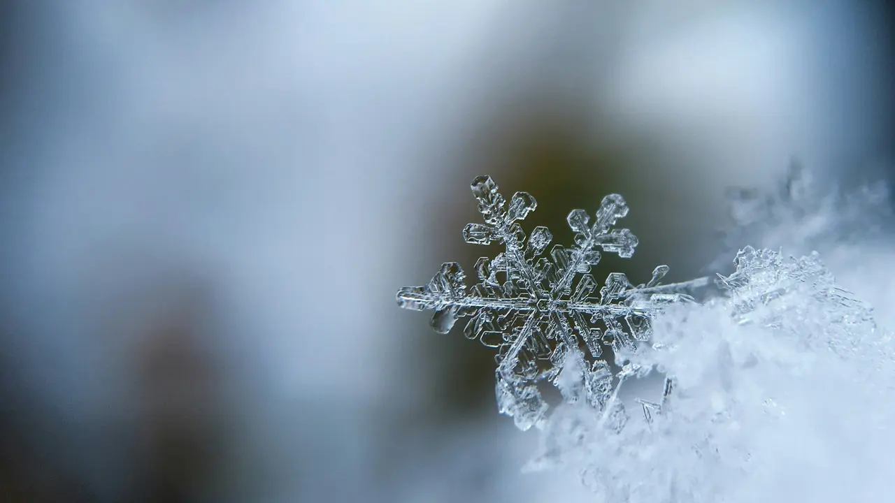 New York Snow Storm: Paralyzing Flights and Enforcing Online Schools