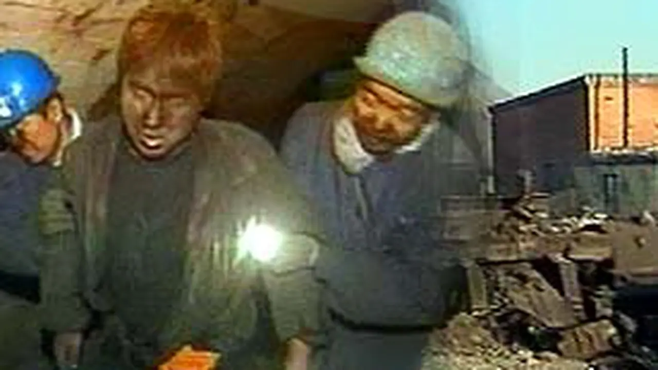 281105dlntambang.jpg
