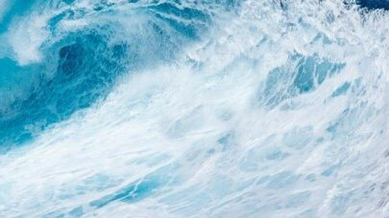 Dua Bulan Terapung di Laut Pasifik, Pelaut dan Anjingnya Selamat, Begini Cara Mereka Bertahan Hidup