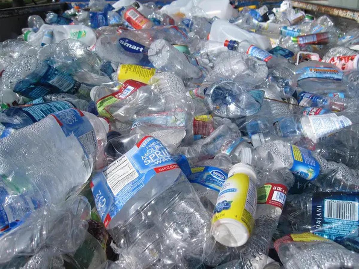 Ulat Kecil Afrika Ini Bisa Makan Plastik, Begini Caranya