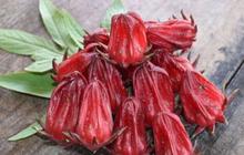 Ramuan Alami Penurun Kolesterol, Resep Tradisional yang Terbukti Efektif