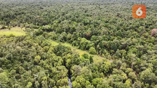 Hutan Desa Genting Tanah