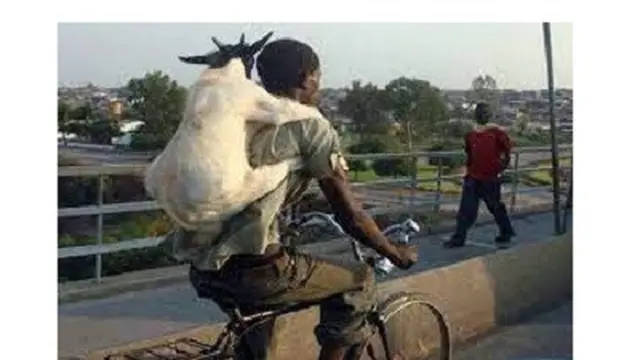 6 Potret Angkut Kambing Pakai Sepeda Ini Butuh Perjuangan, Totalitas