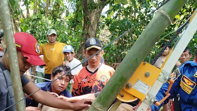 Evakuasi sapi dari sumur tua di Sukabumi. (Liputan6.com/istimewa).