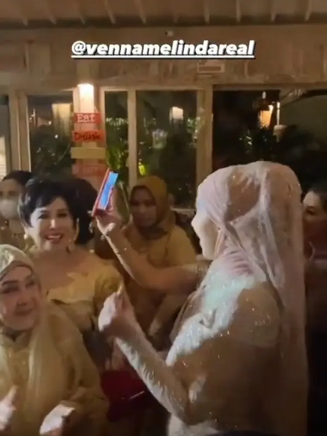 Resepsi Venna Melinda dan Ferry Irawan