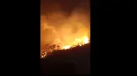 Jalur Pendakian Gunung Papandayan Ditutup Sementara Imbas Kebakaran Hutan (Tangkapan Layar Instagram/bbksda_jabar)