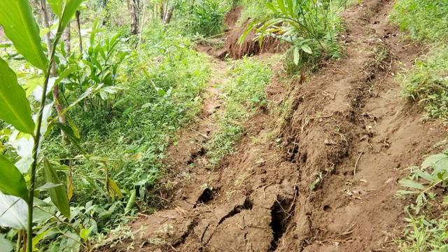 Gerakan tanah menyebabkan 12 rumah rusak di Cijati, Cilacap. 6 keluarga diungsikan. (Foto: Liputan6.com/Eko Rusdiyanto/Muhamad Ridlo)