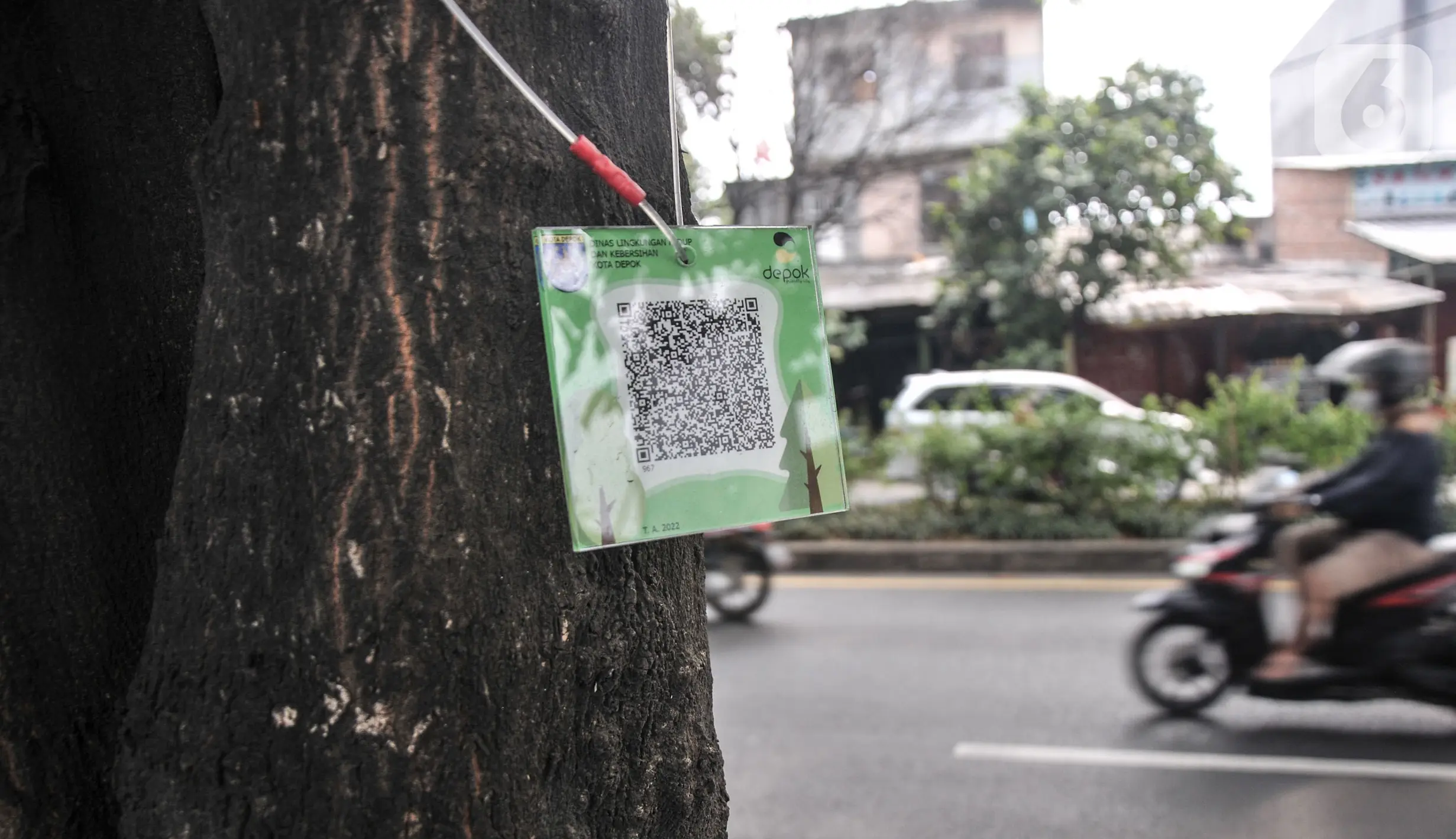 Ribuan Pohon di Depok Dipasang QR Code - Foto Liputan6.com