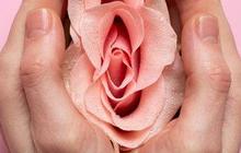 Jenis Cairan Vagina yang Perlu Diketahui Oleh Para Wanita