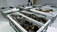 Mumi Tertua di Dunia asal Chile 'Meleleh', Apa Sebabnya?