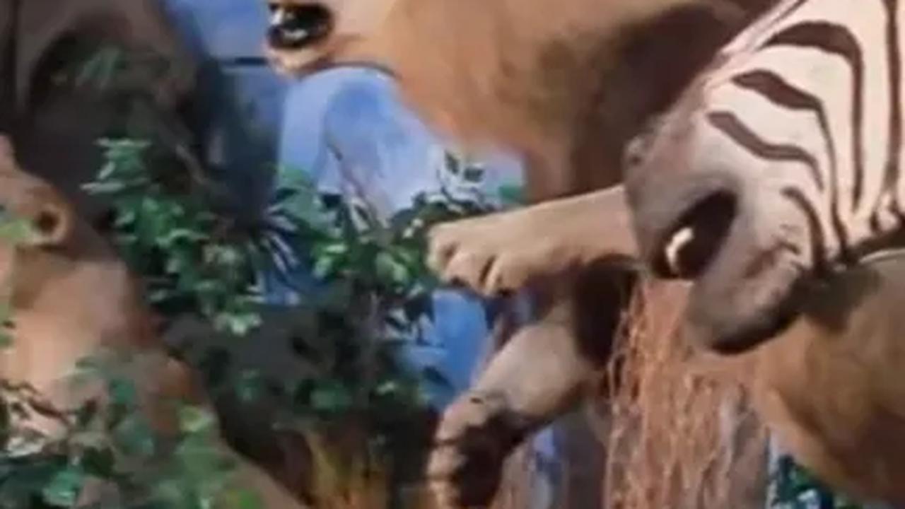 Jalan-jalan ke Rahmat International Wildlife Museum & Gallery di Kota Medan, Punya Koleksi Ribuan Hewan Liar yang Diawetkan