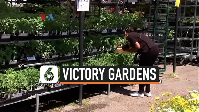 victory gardens