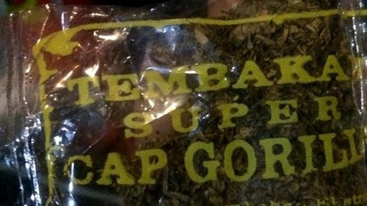 Tembakau Gorila beredar di Yogya, beli online dikirim GO-Jek