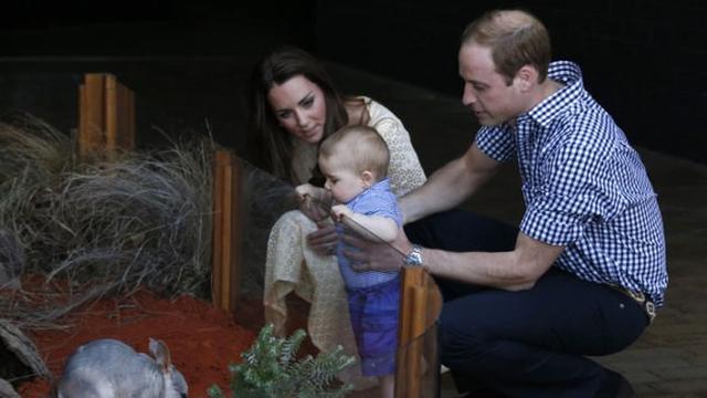Pangeran William, Kate Middleton dan Pangeran George yang masih berusia 1 tahun saat berkunjung ke Kebun Binatang Taronga, Australia pada tahun 2014. (AP)