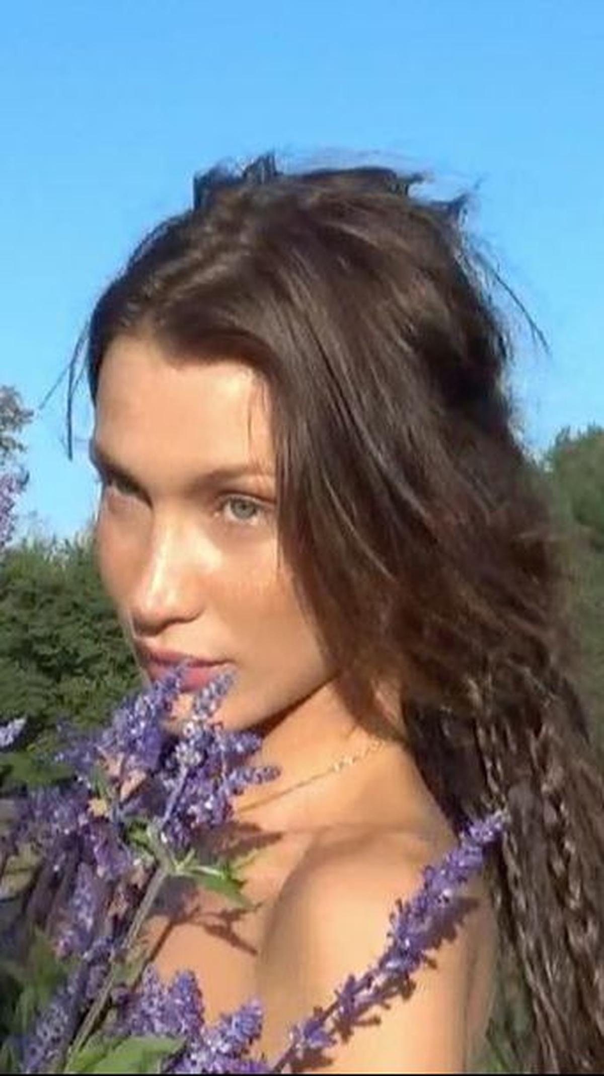 Bella Hadid Sang Model Profesional dan Terkenal