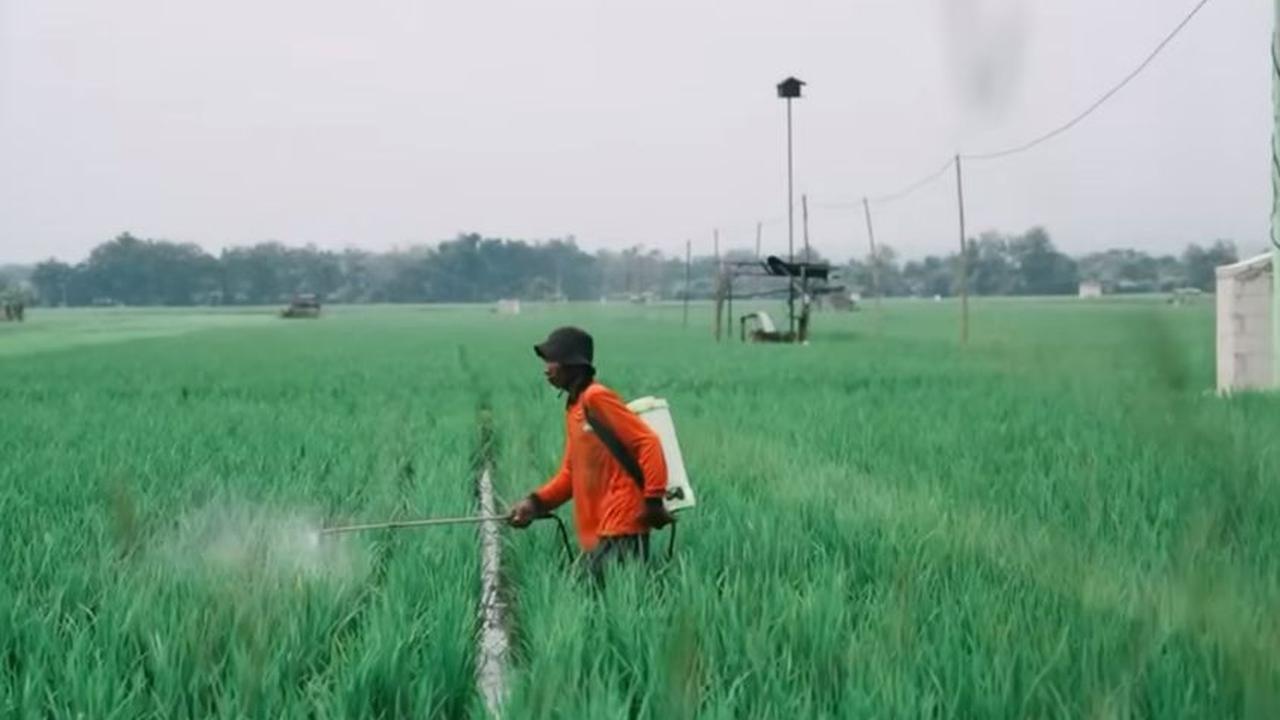 Pelajaran Hidup