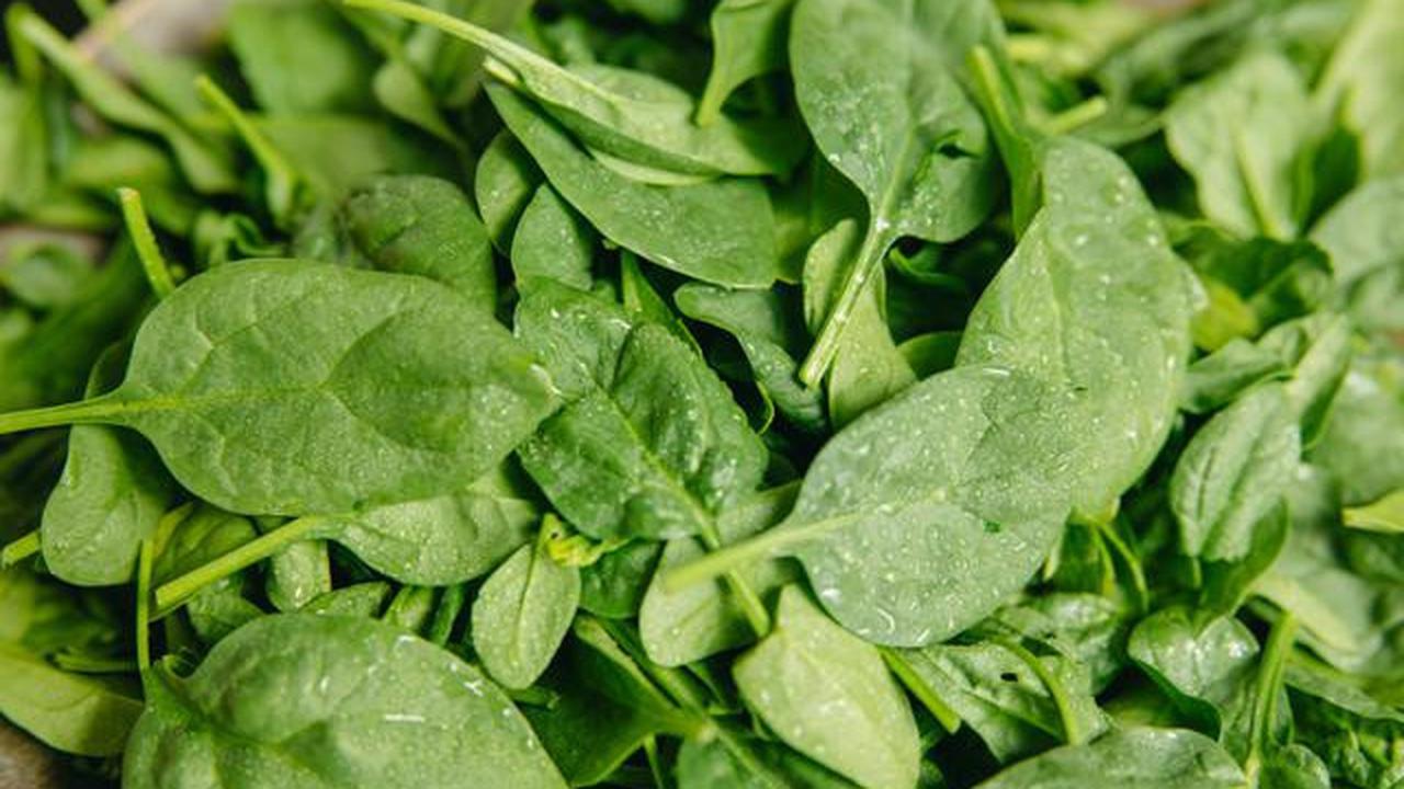 Resep Jus Detoks Tubuh untuk Diet Awal Tahun 2026, Bantu Wujudkan Resolusi