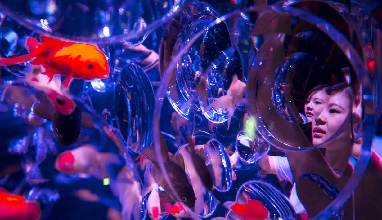 Pengunjung melihat ikan emas yang berada di dalam akuarium saat Pameran Seni Aquarium di Tokyo, Jepang (10/7/2015). Pameran yang menampilkan ribuan ikan emas di dalam aquarium ini merupakan karya desainer Jepang Hidetomo Kimura. (REUTERS/Thomas Peter)