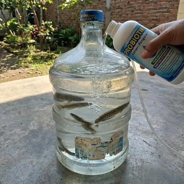 Ilustrasi Probiotik atau Bakteri Pengurai untuk Air Bersih