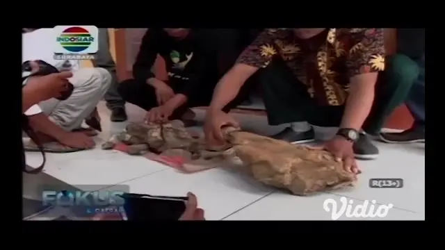 Balai Pelestarian Cagar Budaya (BPCB) Jatim akan melakukan ekskavasi di lokasi penemuan fosil hewan purba, Madiun. Ekskavasi akan dilakukan bersama Balai Pelestarian Situs Manusia Purba (BPSMP) Sangiran, Sragen, Jawa Tengah.