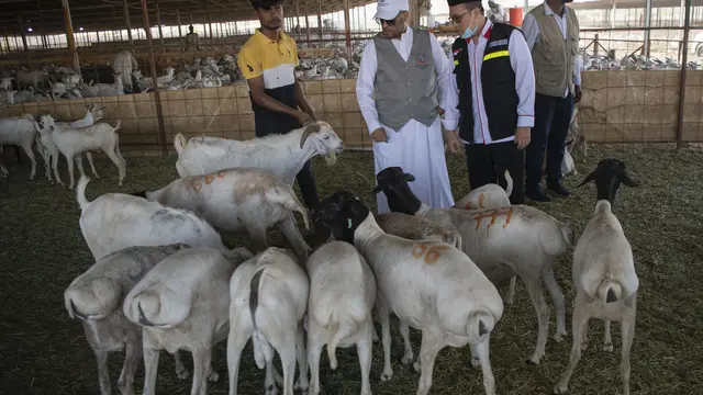Rumah Pemotongan Hewan Dam di Makkah