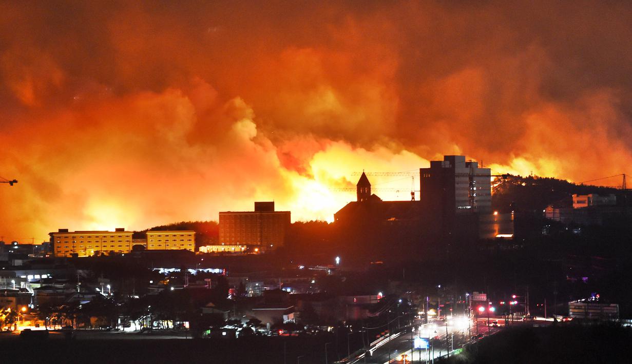 Foto Begini Dahsyatnya Kebakaran Hutan Di Korea Selatan