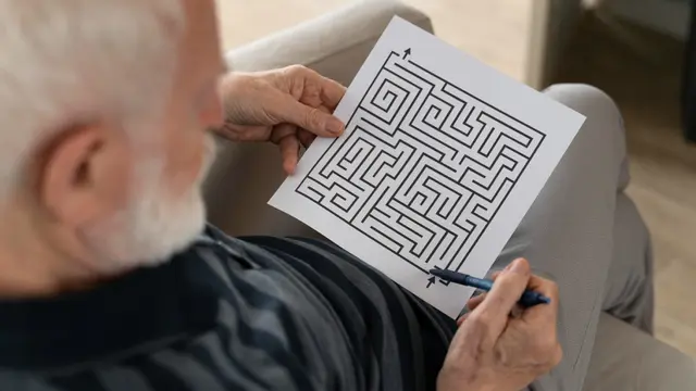 Maze