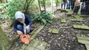 Peneliti Sofie Mursidawati mengecek jenis kelamin bunga Rafflesia Patma yang mekar di Kebun Raya Bogor, Jawa Barat, Minggu (15/9/2019). Rafflesia Patma ini merupakan tumbuhan endemik asal Pangandaran yang bersifat parasit. (merdeka.com/Arie Basuki)