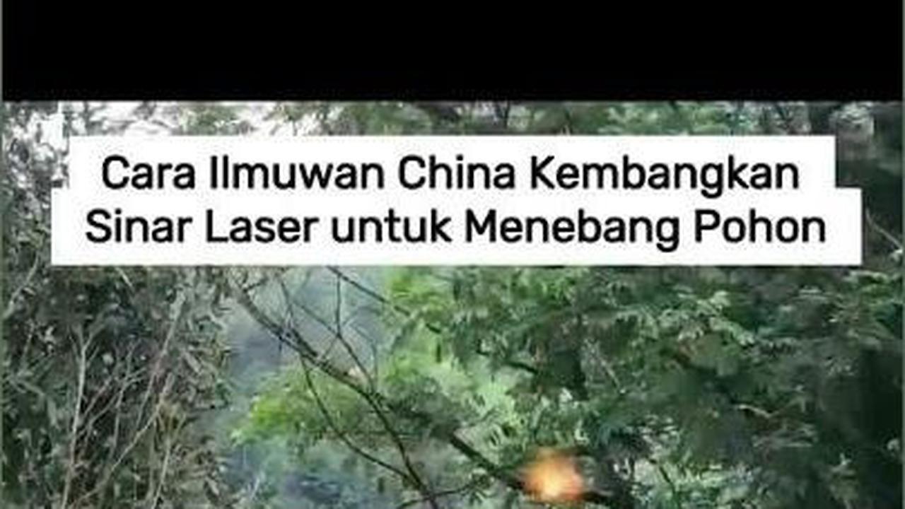 VIDEO: Cara Ilmuwan China Kembangkan Sinar Laser untuk Menebang Pohon