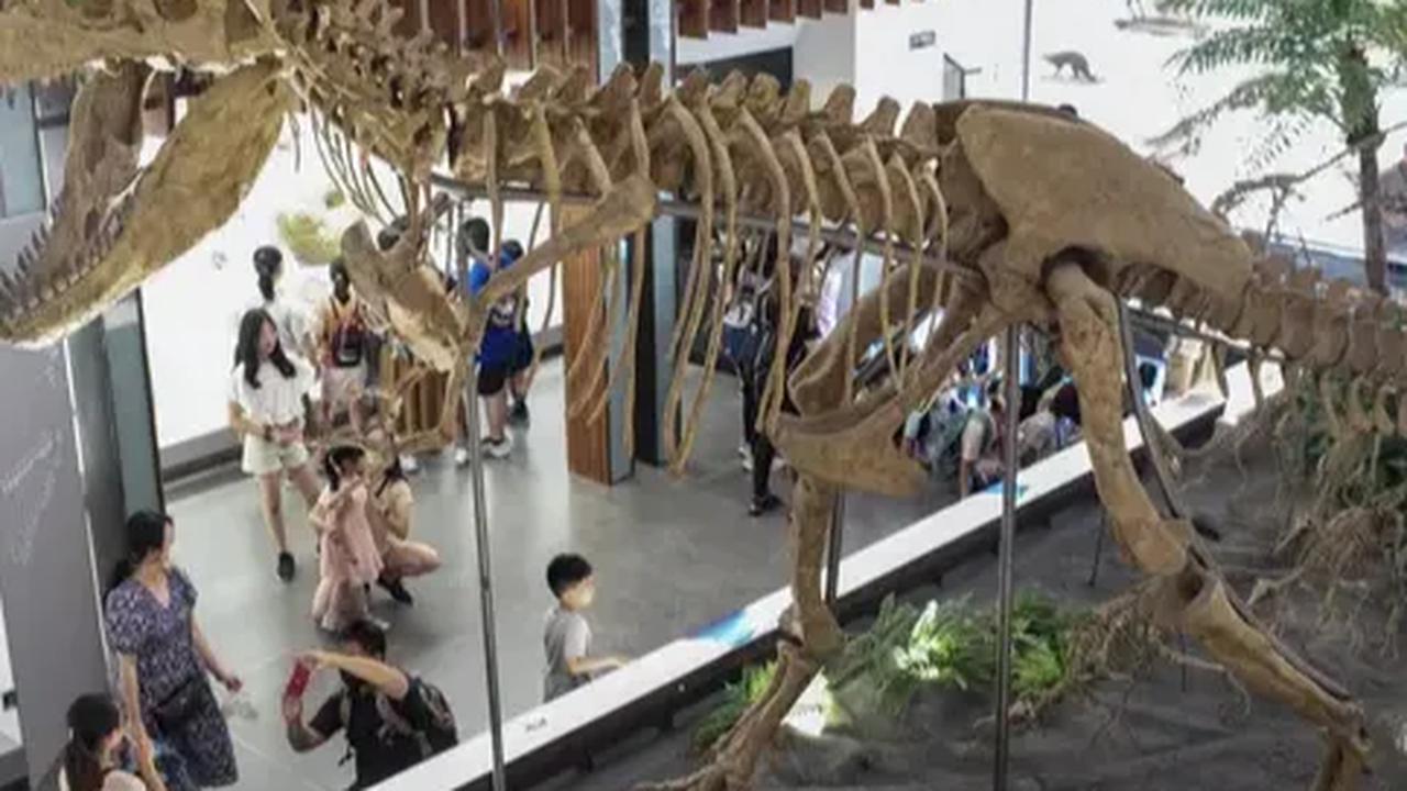 Pada tahun 2006 jumlah koleksi museum sudah melebihi 140.000 buah, meskipun hanya sepertiganya yang dapat diperlihatkan kepada khalayak.