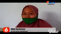 Memanfaatkan lahan pekarangan rumah, ibu-ibu di Kecamatan Tembelang, Jombang, Jawa Timur, menciptakan usaha rumahan yakni, budi daya tanaman hidroponik, khususnya sawi bisa dijual berupa sayur mentah dan jus.