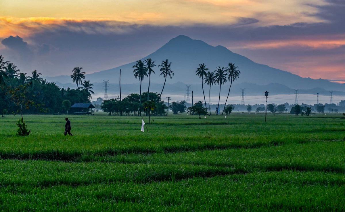 Mentari Pagi Menyinari Sawah Produktif Aceh Besar