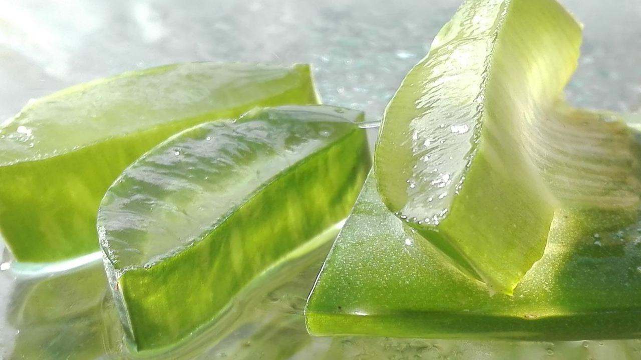 4. Gel Lidah Buaya<br>