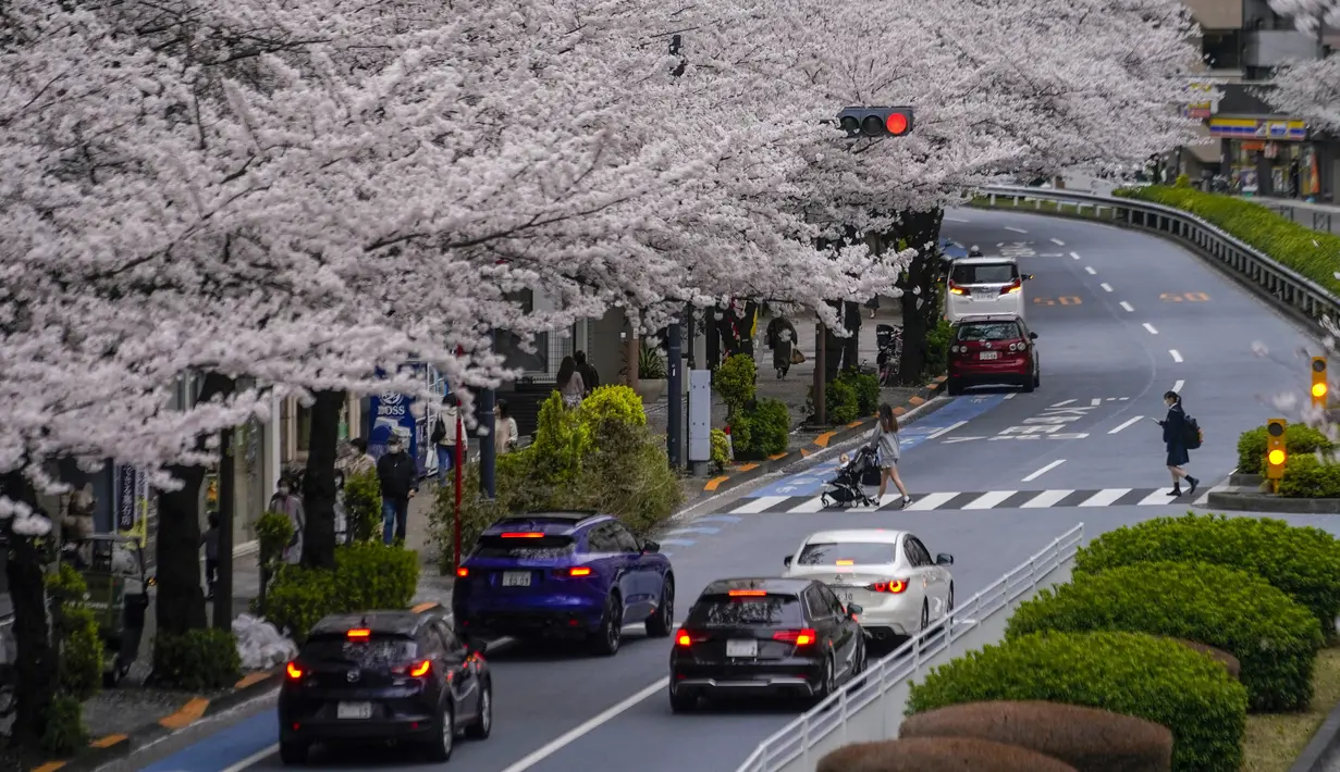 Orang-orang berjalan di bawah kanopi bunga sakura di Tokyo, Jepang, Minggu (27/3/2022). (AP Photo/Kiichiro Sato)
