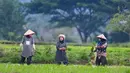 Guna mendukung pencapaian target produksi padi nasional pada 2025, pemerintah telah menganggarkan Rp12 triliun untuk pembangunan serta revitalisasi infrastruktur irigasi pertanian. (CHAIDEER MAHYUDDIN/AFP)