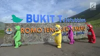 Warga berkostum teletubbies berjalan menghibur wisatawan di Bukit Teletubies kawasan Taman Nasional Bromo Tengger Semeru (TNBTS), Jawa Timur, Selasa (26/3). Kegiatan yang berlangsung sejak sekitar 1,5 bulan lalu ini dilakukan warga asli Tengger dengan seizin pihak TNBTS. (merdeka.com/Arie Basuki)