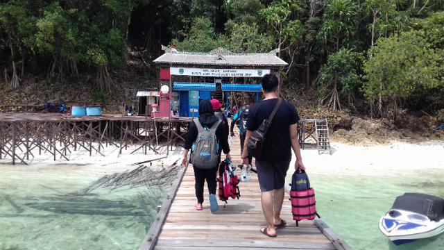 Selamat Pagi Ubur Ubur Dari Pulau Kakaban Regional