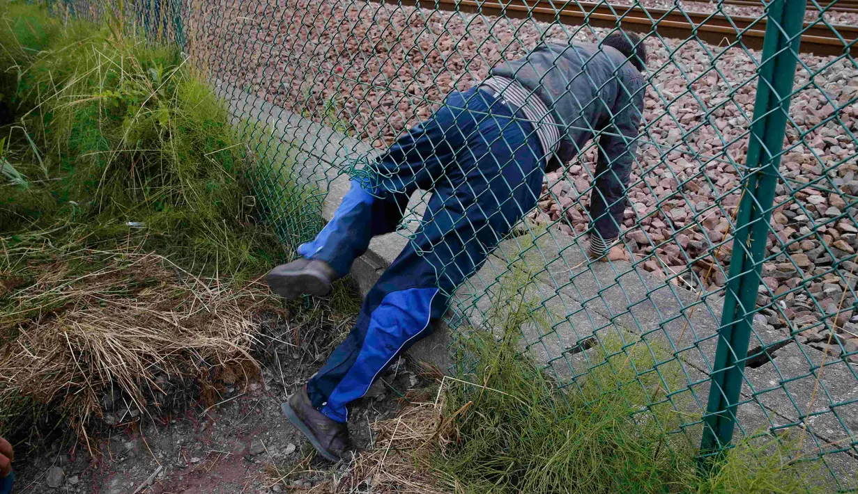 Seorang imigran merangkak melalui lubang pagar keamanan terminal Eurotunnel di Coquelles dekat Calais di Prancis, 29 Juli 2015. Ribuan imigran tersebut mencoba memasuki Terowongan Channel menuju Inggris melalui Prancis. (REUTERS/Pascal Rossignol)