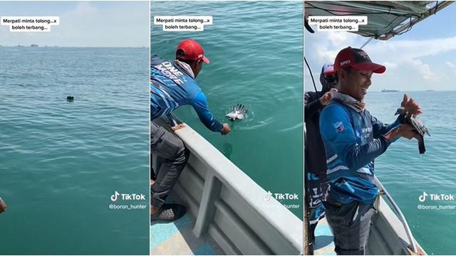 Momen Detik-Detik Penyelamatan Burung yang Terjatuh ke Laut, Tuai Pujian