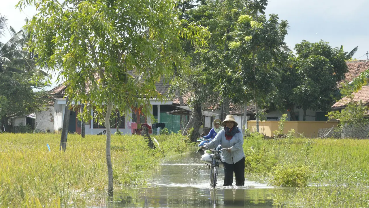 3 Hari Hujan, Rumah dan Sawah Warga Sumenep Berubah Jadi Kolam