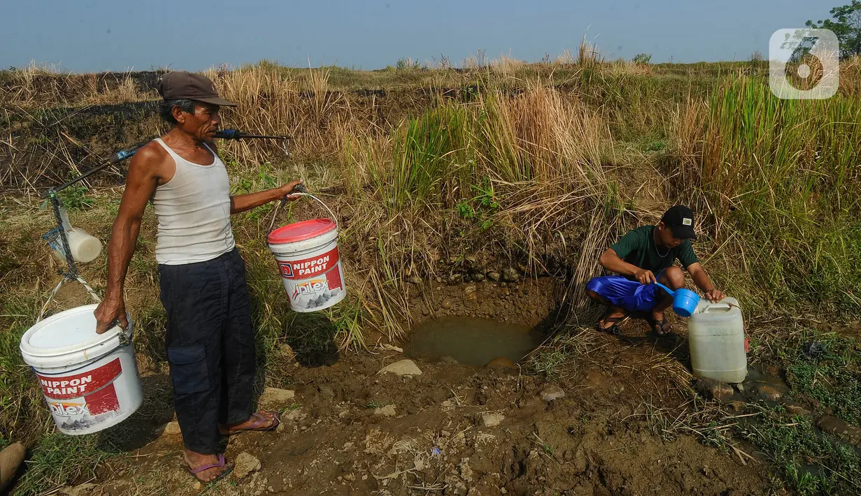 Sudah lebih dari dua bulan ratusan warga di kampung ini mengandalkan sumber air yang mirip kubangan untuk memenuhi kebutuhan sehari-hari dan air minum. (merdeka.com/Arie Basuki)