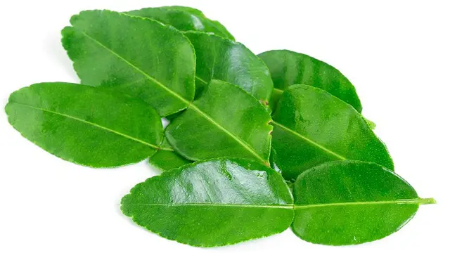 Selain bumbu rempah, beberaia jenis daun-daunan membuat masakan Indonesia lebih terasa nikmat.