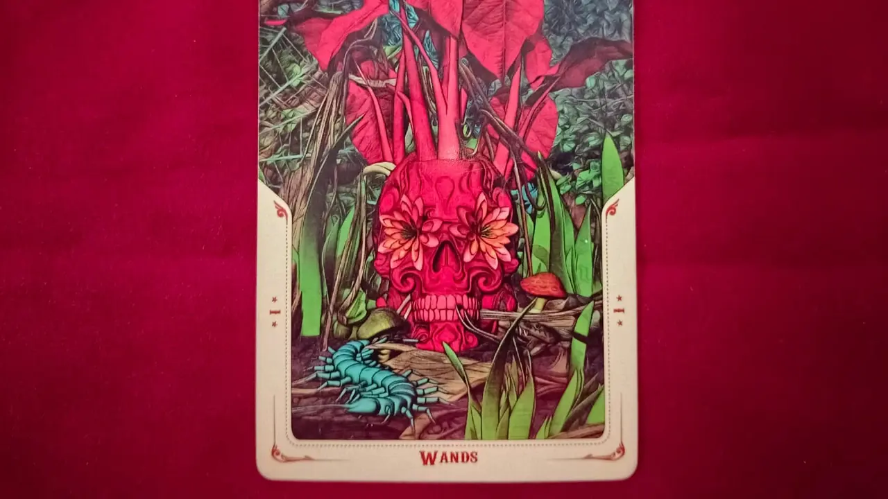 tarot