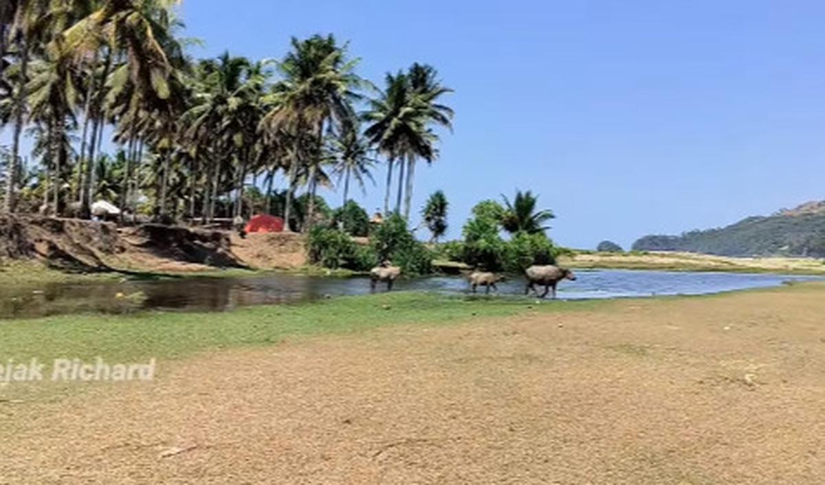 Kendati begitu indah dan cantik, namun Pantai Kerbau di Trenggalek diketahui masih sepi dari para wisatawan di tanah air.