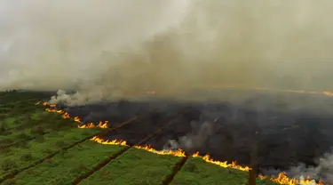 Foto udara yang diambil pada tanggal 2 Oktober 2023 ini menunjukkan kebakaran lahan gambut yang menjalar ke sebuah perkebunan di Ogan Ilir, Sumatera Selatan. (Al ZULKIFLI/AFP)
