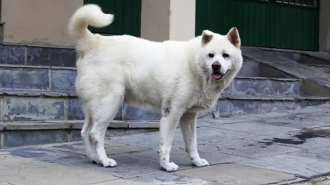 Photo Copyright: odditycentral.com